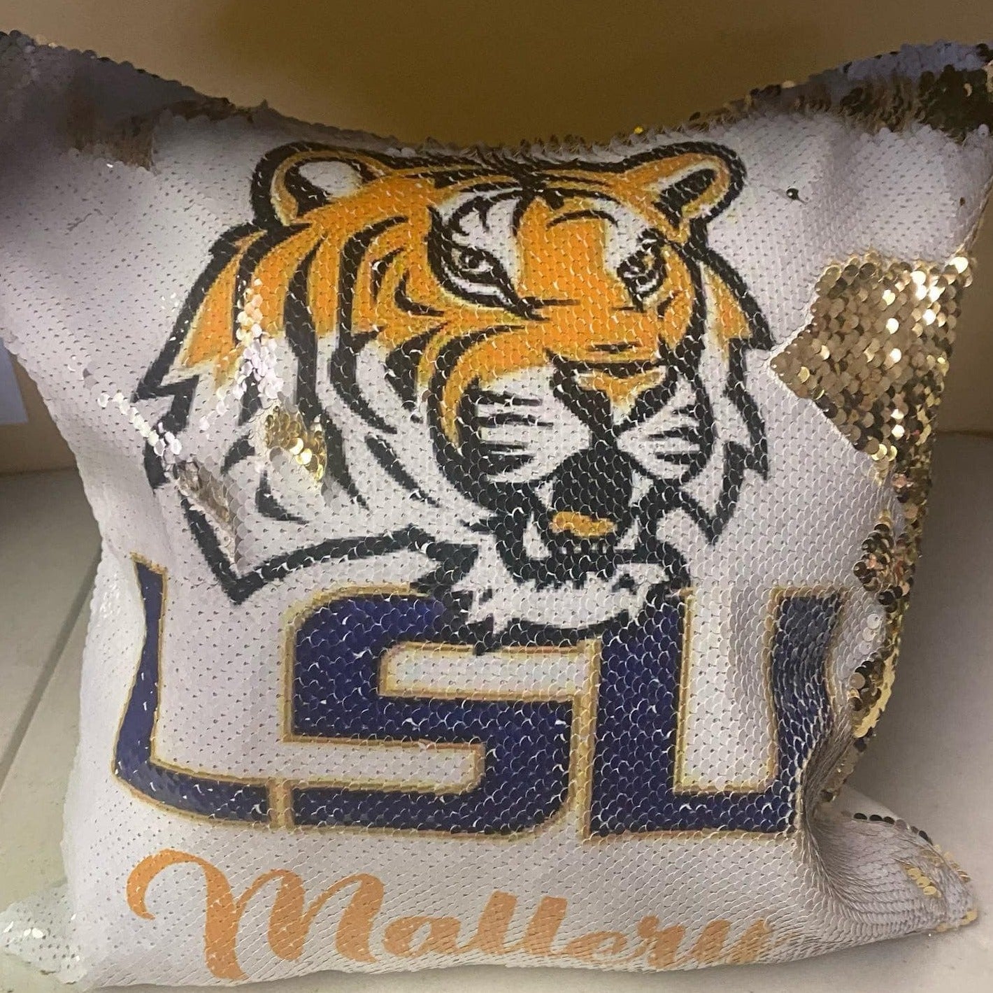 Sequin Pillow Cases